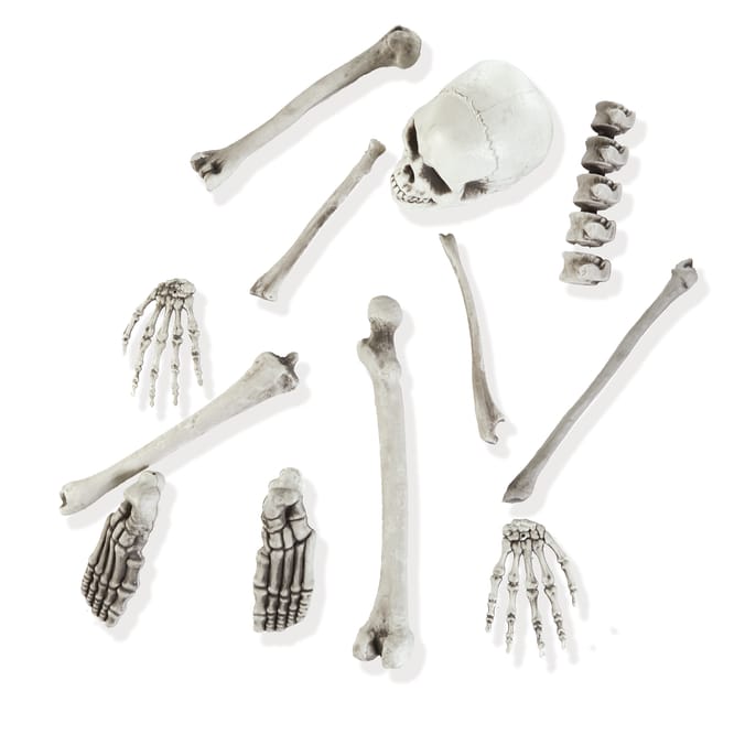 Haunted House Bones In A Bag