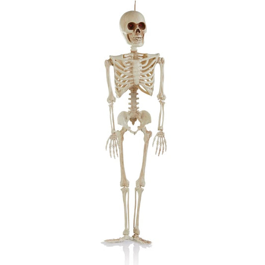 Haunted House Light Up Hanging Skeleton