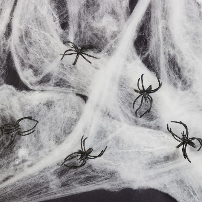 Haunted House Web & Spiders