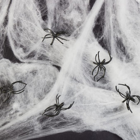 Haunted House Web & Spiders