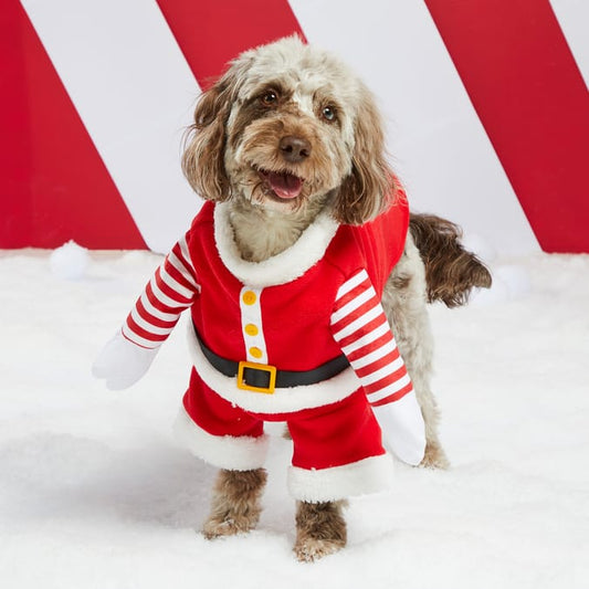 Christmas Dog Costume – Festive Walking Pet Outfit for Holiday Dress-Up (Santa, Reindeer, Elf Variations)